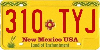 NM license plate 310TYJ