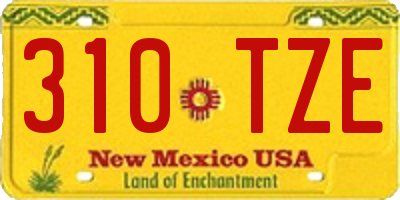 NM license plate 310TZE