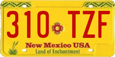 NM license plate 310TZF