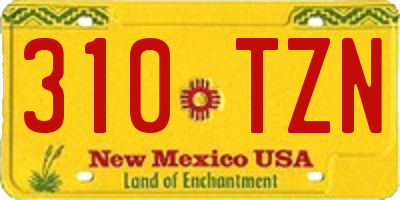 NM license plate 310TZN