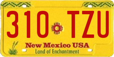 NM license plate 310TZU