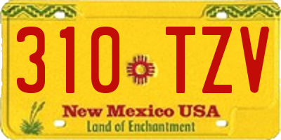 NM license plate 310TZV