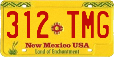 NM license plate 312TMG