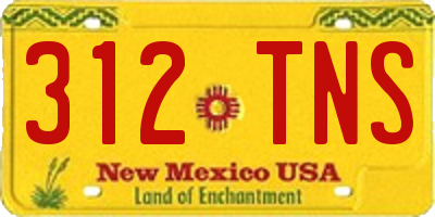 NM license plate 312TNS