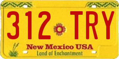 NM license plate 312TRY