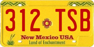 NM license plate 312TSB