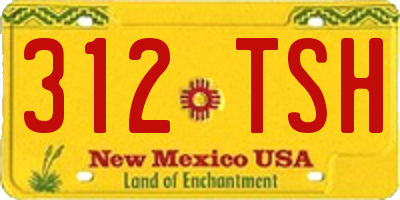 NM license plate 312TSH