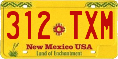 NM license plate 312TXM