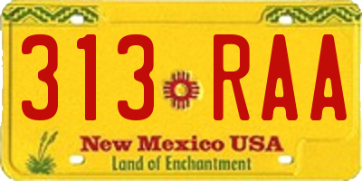 NM license plate 313RAA