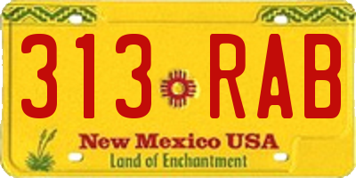 NM license plate 313RAB