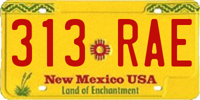 NM license plate 313RAE