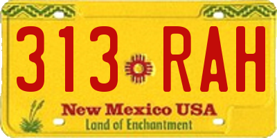 NM license plate 313RAH