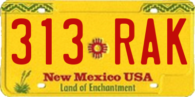 NM license plate 313RAK