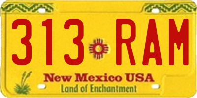 NM license plate 313RAM