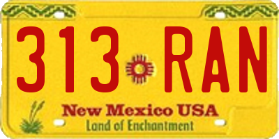 NM license plate 313RAN