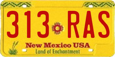 NM license plate 313RAS