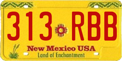 NM license plate 313RBB
