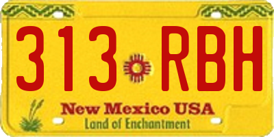 NM license plate 313RBH