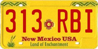 NM license plate 313RBI