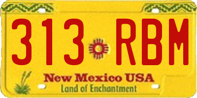 NM license plate 313RBM