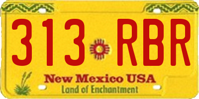 NM license plate 313RBR