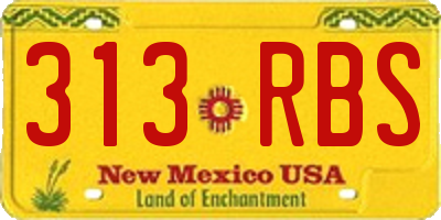 NM license plate 313RBS