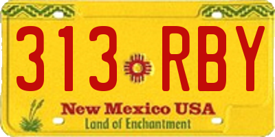 NM license plate 313RBY