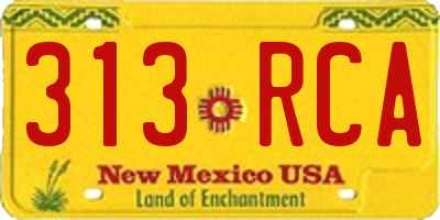 NM license plate 313RCA