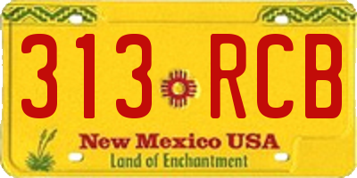 NM license plate 313RCB