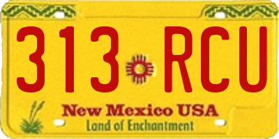 NM license plate 313RCU