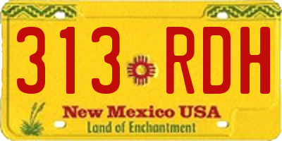 NM license plate 313RDH