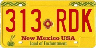 NM license plate 313RDK