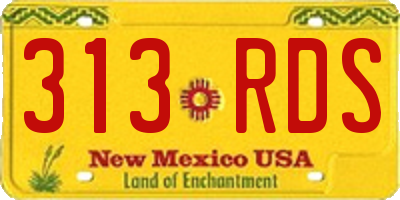 NM license plate 313RDS