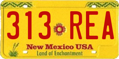 NM license plate 313REA