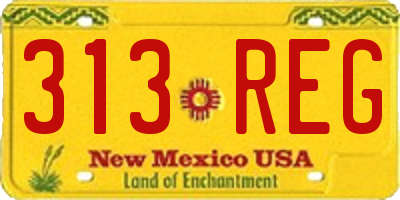 NM license plate 313REG