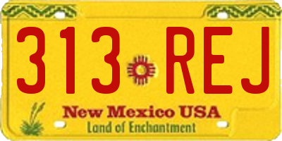 NM license plate 313REJ