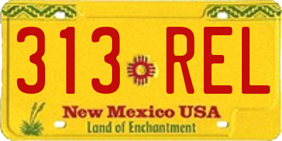 NM license plate 313REL