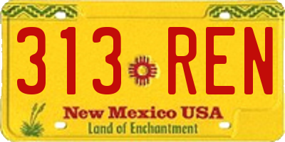 NM license plate 313REN