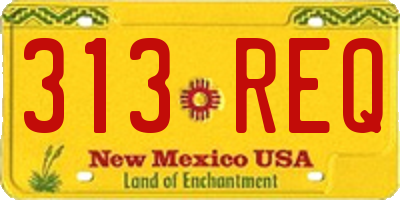 NM license plate 313REQ