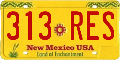 NM license plate 313RES