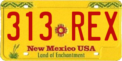 NM license plate 313REX
