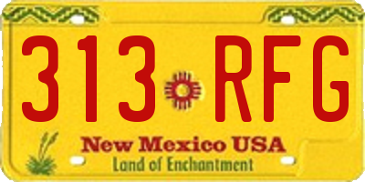NM license plate 313RFG