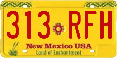 NM license plate 313RFH