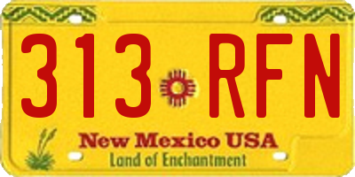 NM license plate 313RFN