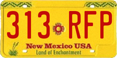 NM license plate 313RFP