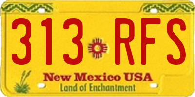 NM license plate 313RFS