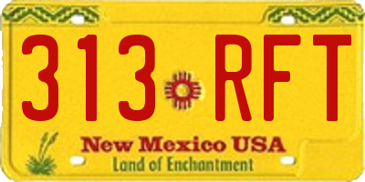 NM license plate 313RFT