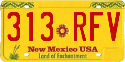 NM license plate 313RFV
