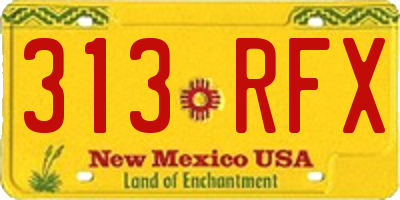 NM license plate 313RFX