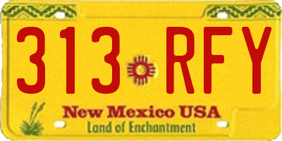NM license plate 313RFY